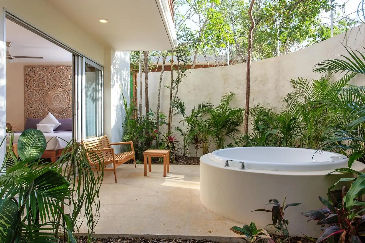Charming Nature-Inspired Condos With Sultry Surroundings By Stella Rentals 툴룸 아파트